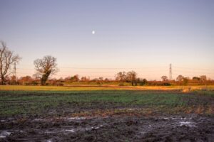 Bellmoor, South Kilvington