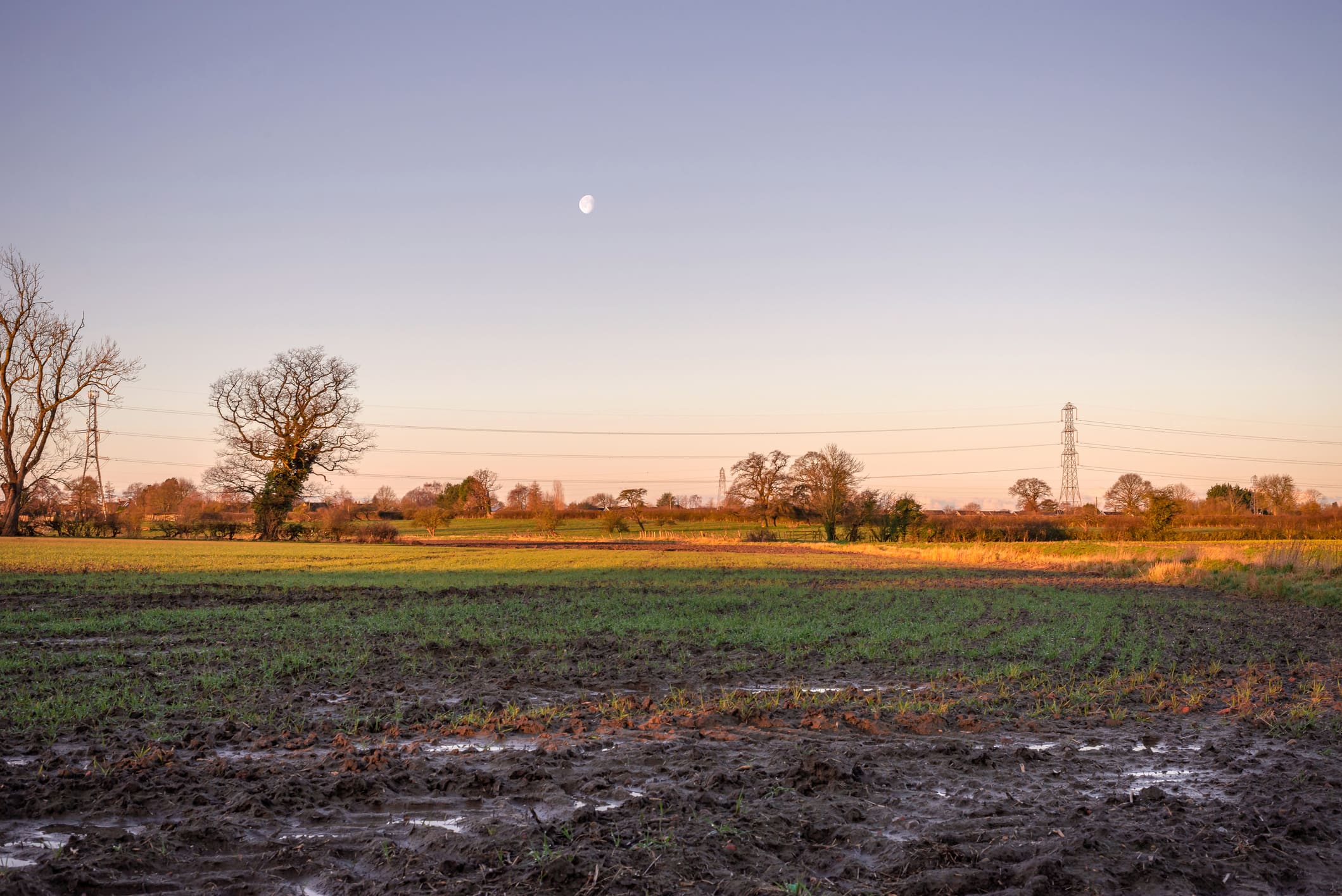 Bellmoor, South Kilvington